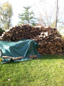 Woodpile15